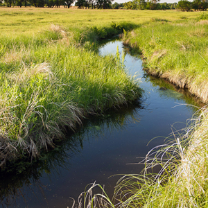 creek winding through a green pasture
